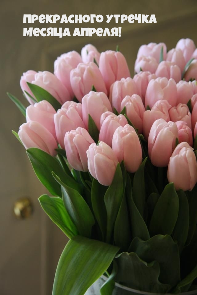 Прекрасного утречка месяца апреля!