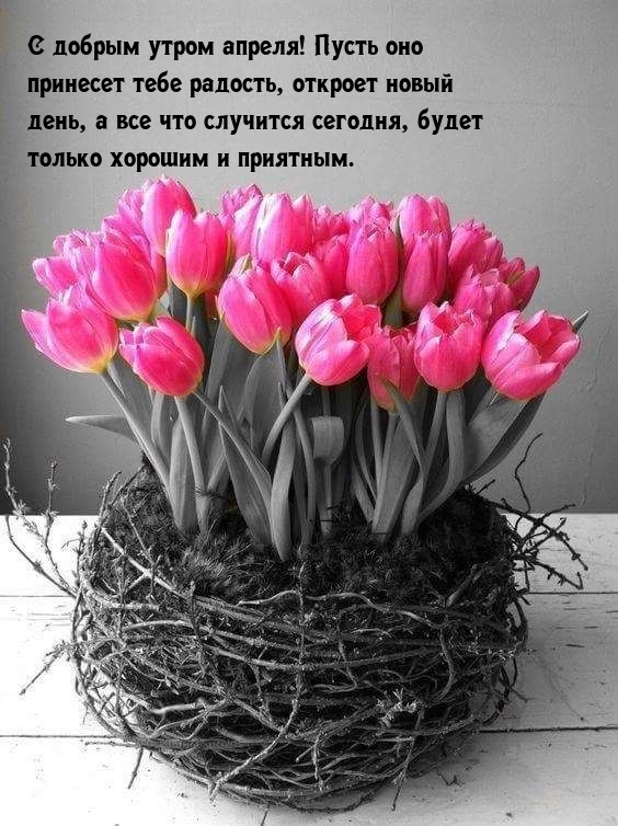 С добрым утром апреля! Пусть оно принесет тебе радость