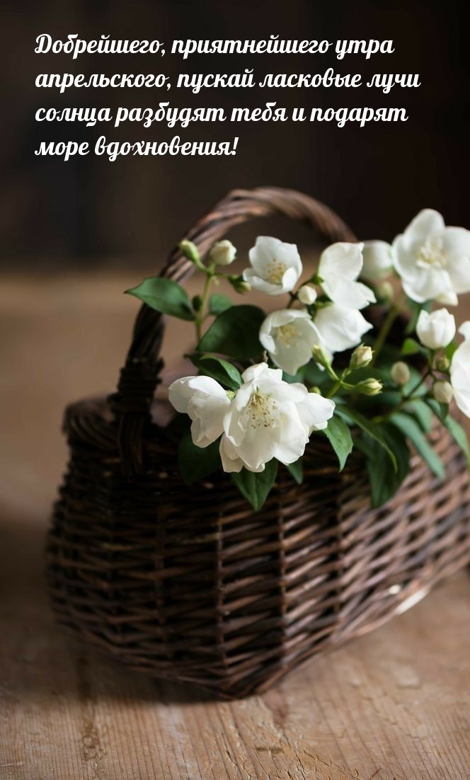 Добрейшего, приятнейшего утра апрельского