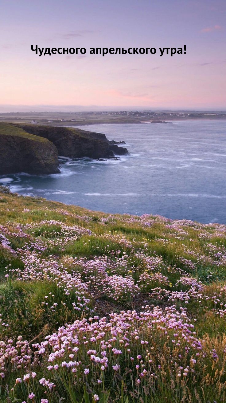 Чудесного апрельского утра!