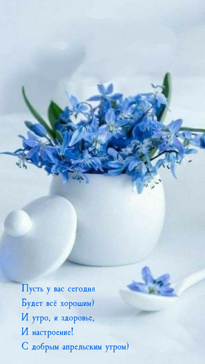 С добрым апрельским утром) Пусть у вас сегодня будет всё хорошим)