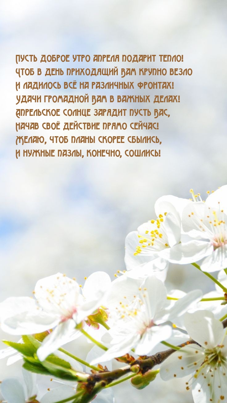 Пусть доброе утро апреля подарит тепло!