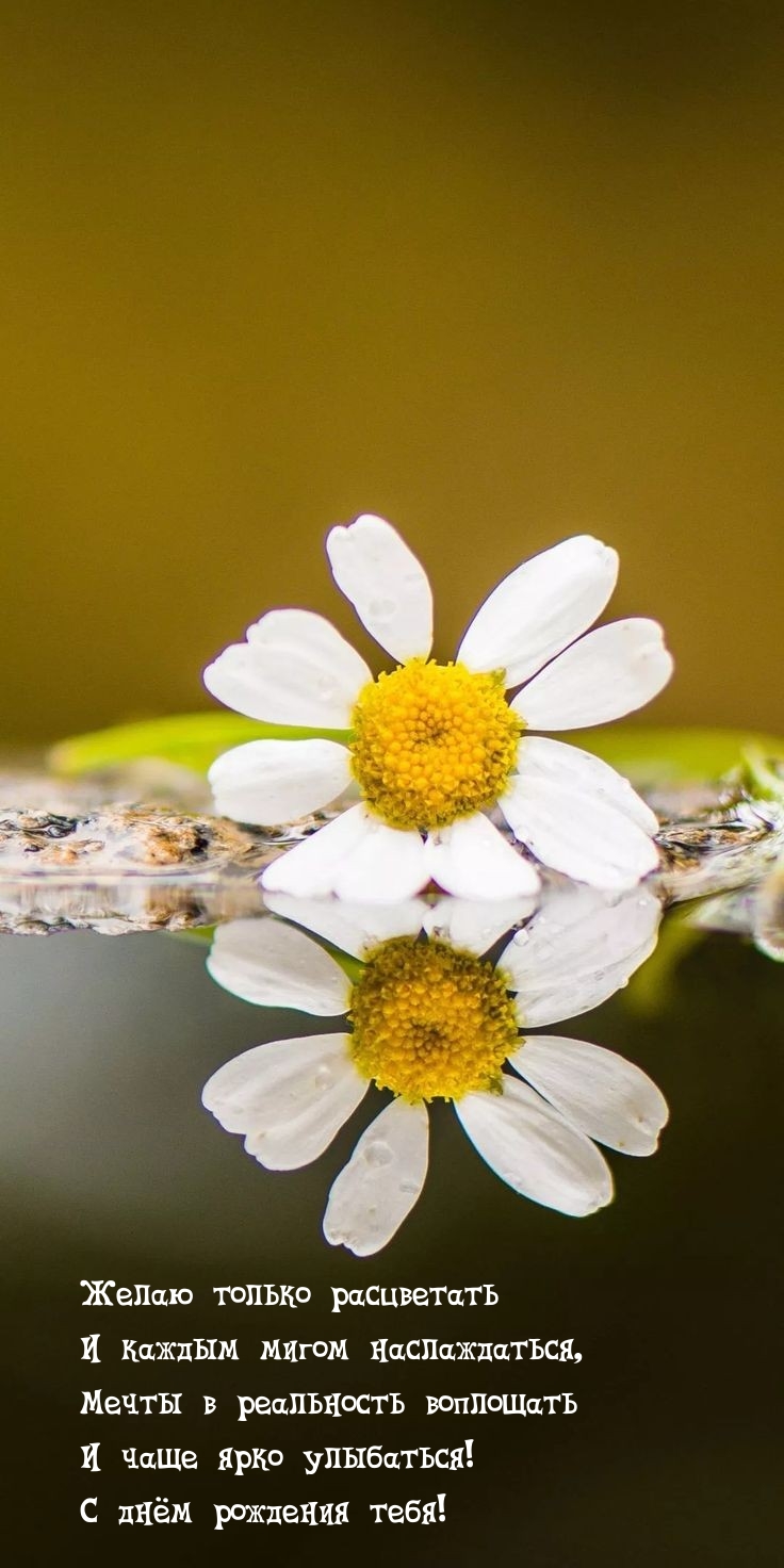 С днём рождения тебя! Желаю только расцветать