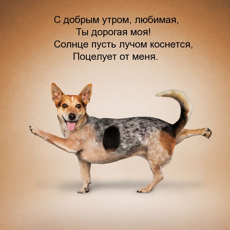 С добрым утром! Ты дорогая моя! Солнце пусть лучом коснется