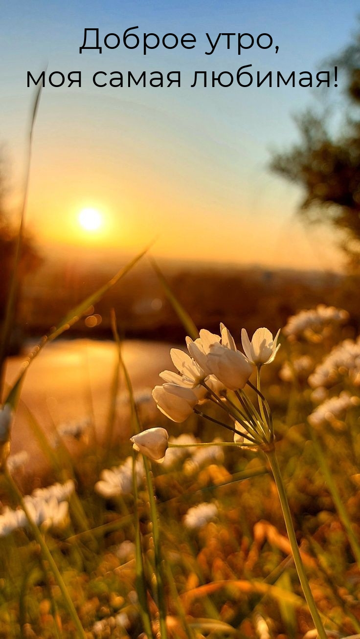 Доброе утро, моя самая любимая! 