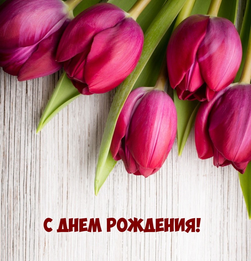 С днем рождения! 