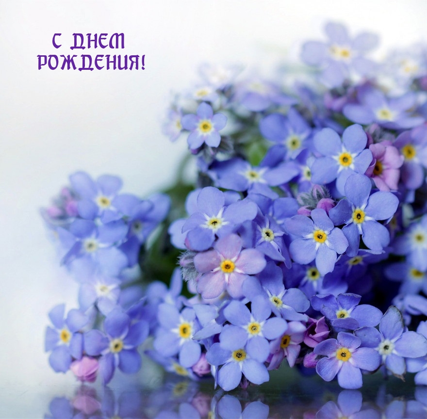 С днем рождения! 