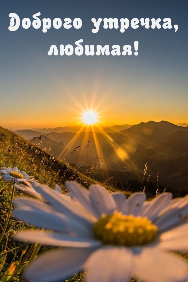 Доброго утречка, любимая!