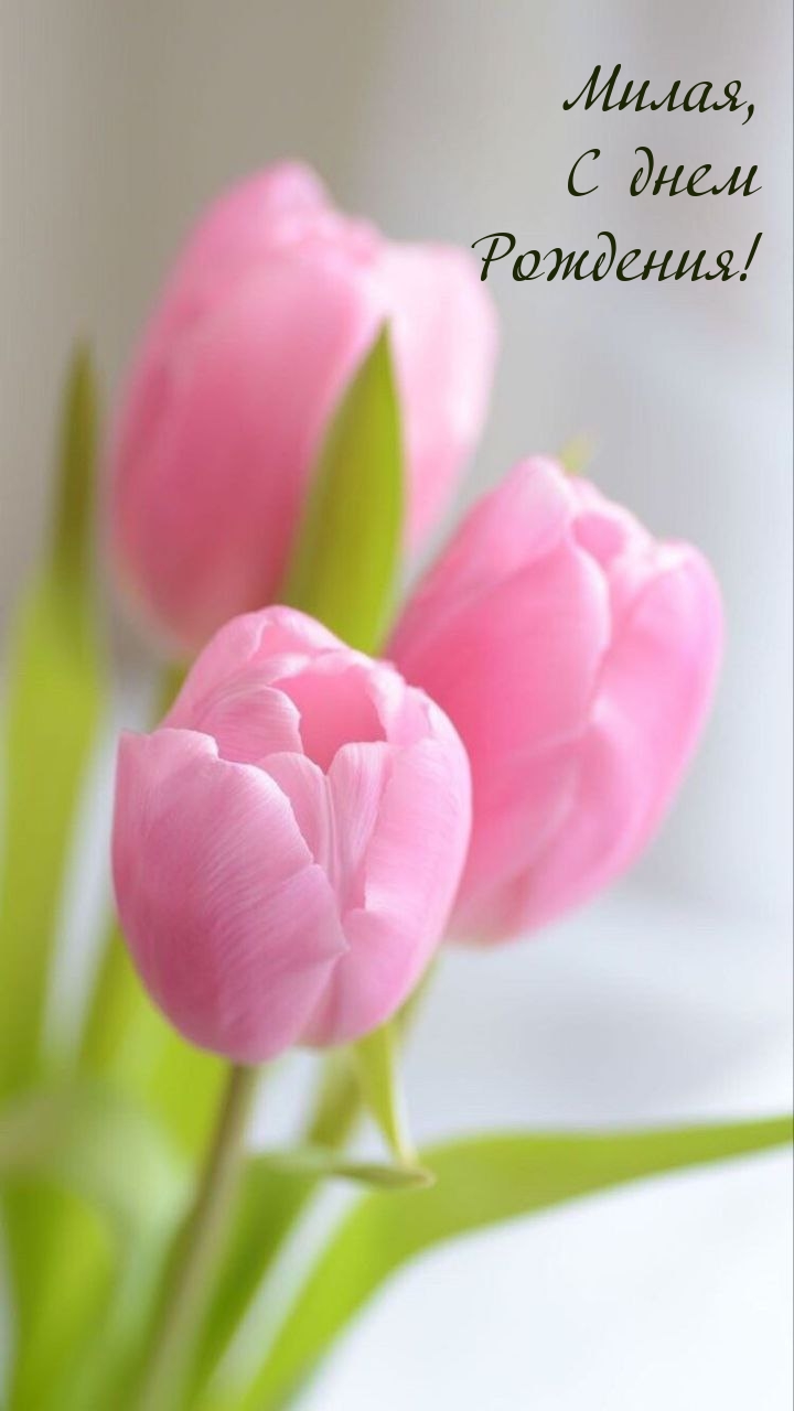 Милая, с днем рождения!  