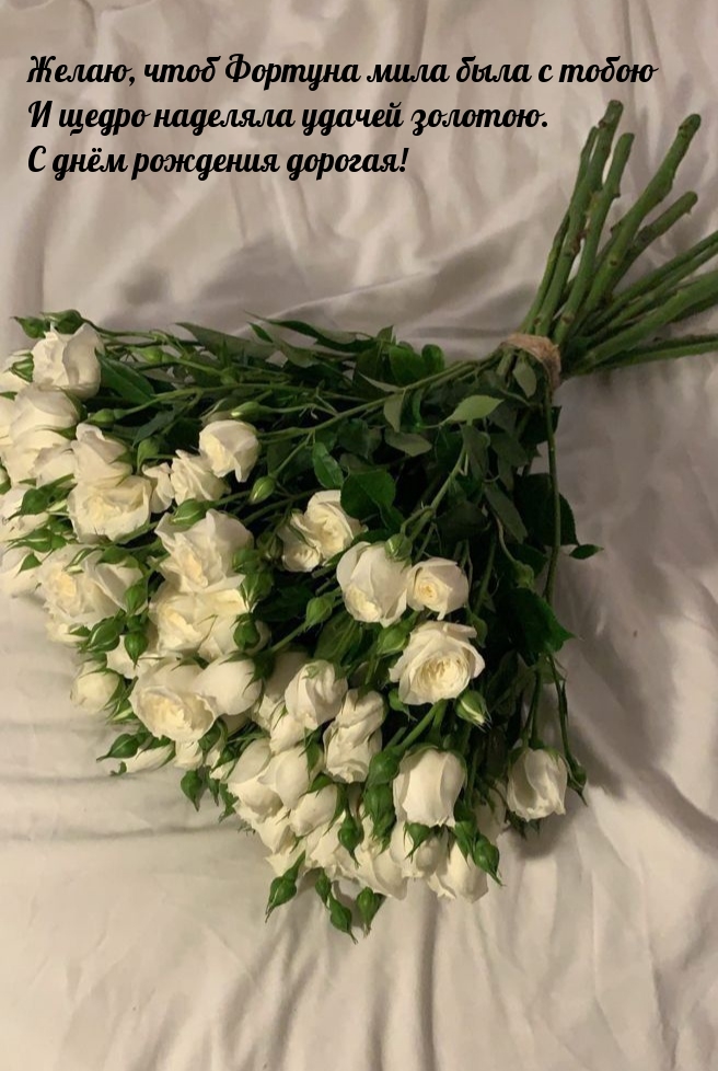 И щедро наделяла удачей золотою. С днём рождения дорогая!