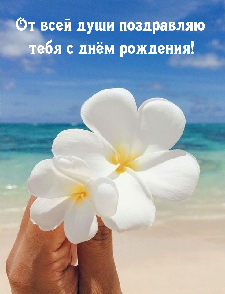 От всей души поздравляю тебя с днём рождения!
