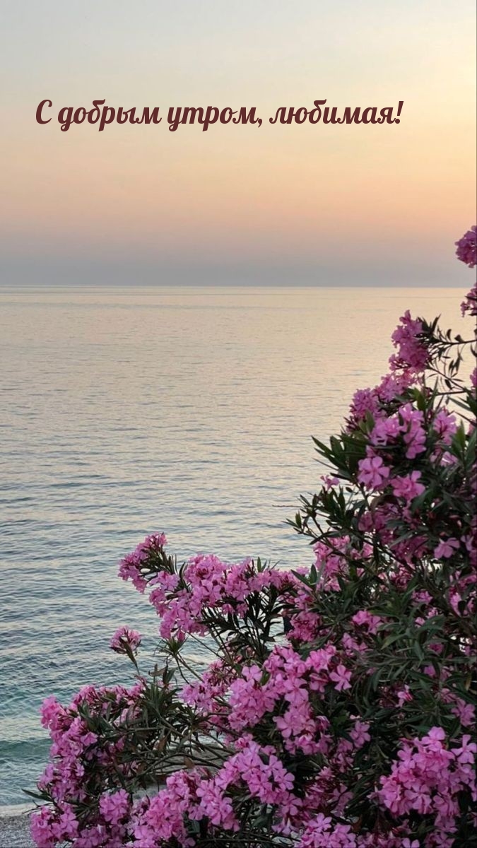 С добрым утром, любимая!