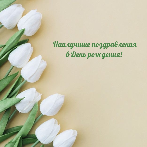 Наилучшие поздравления в День рождения! 
