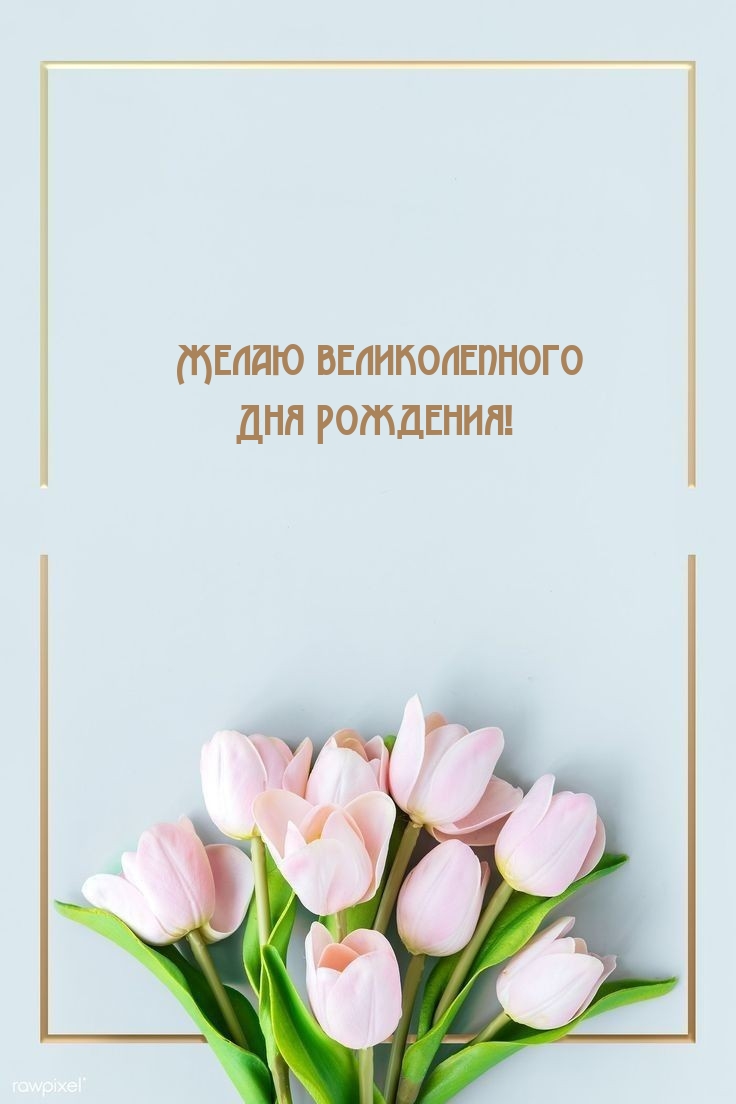 Желаю великолепного Дня Рождения! 