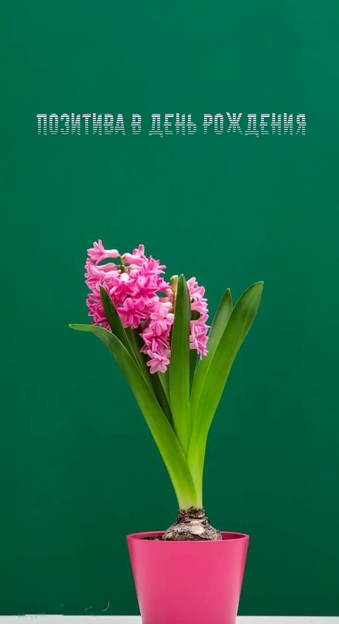 Позитива в День Рождения