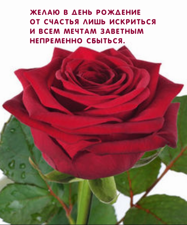 Желаю в день рождение от счастья лишь искриться