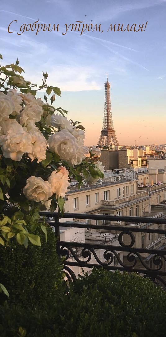 С добрым утром, милая!