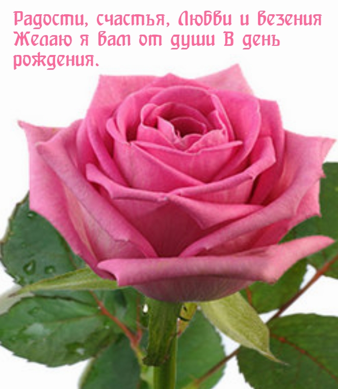 Радости, счастья, любви и везения вам от души в день рождения.