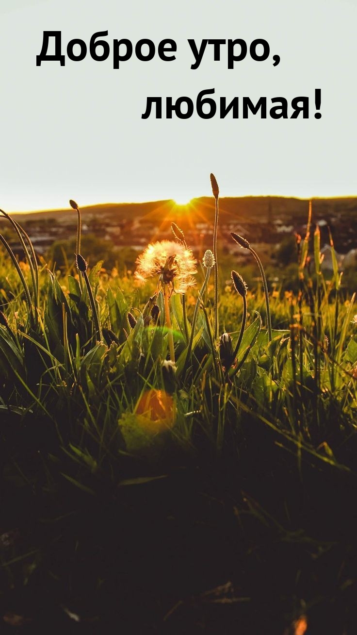 Доброе утро, любимая!