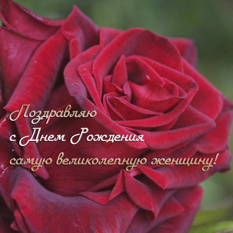 Поздравляю с Днем Рождения самую великолепную женщину!