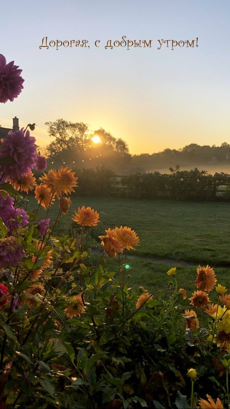 Дорогая, с добрым утром!