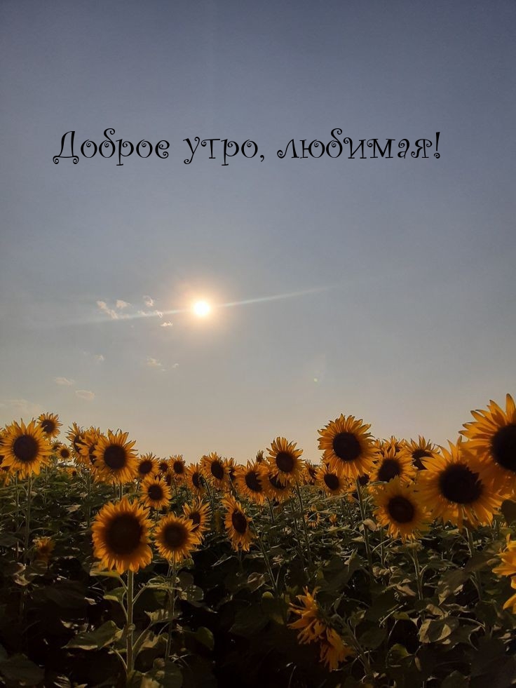 Доброе утро, любимая!