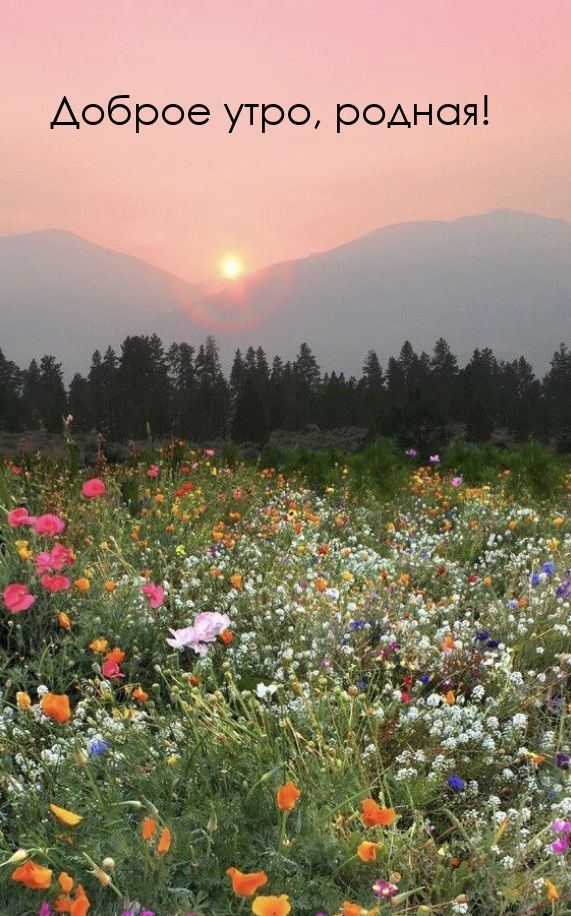 Доброе утро, родная!