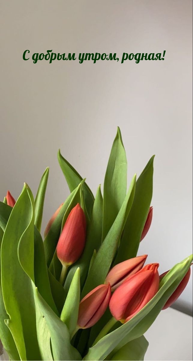 С добрым утром, родная!