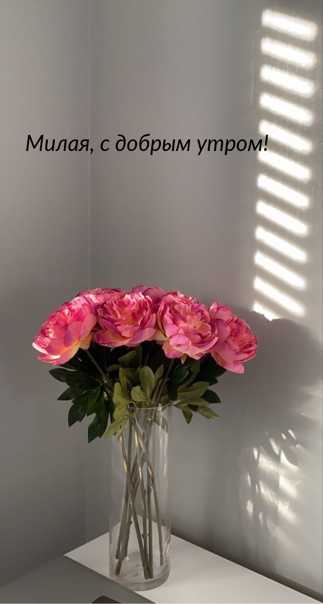 Милая, с добрым утром!