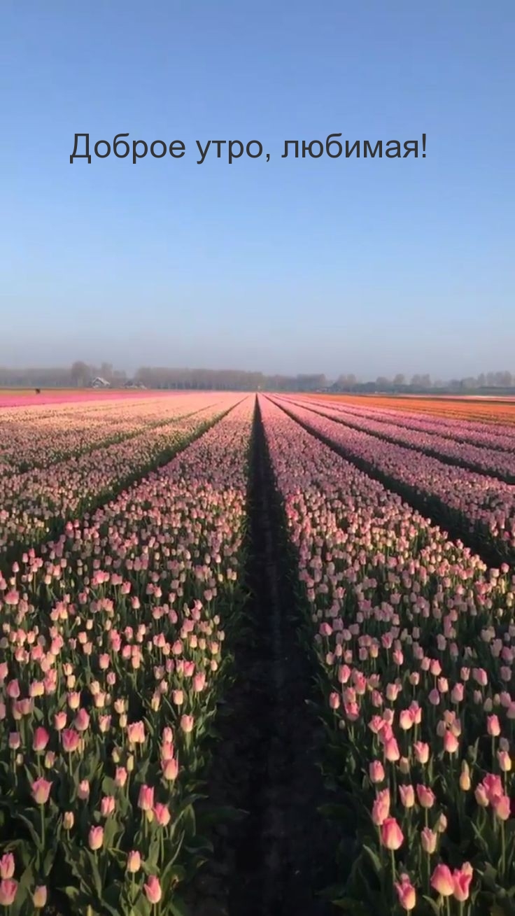 Доброе утро, любимая!
