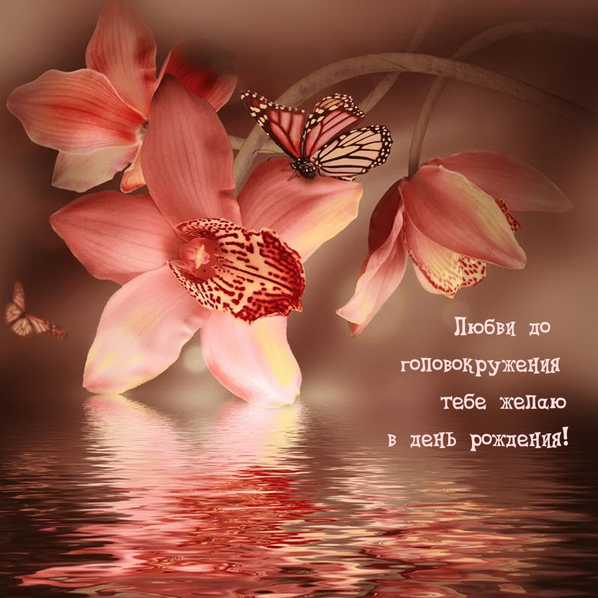 Любви до головокружения тебе желаю в день рождения!