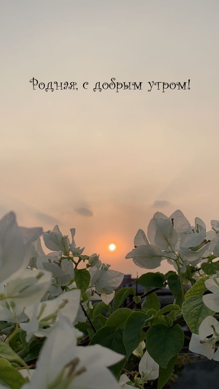 Родная, с добрым утром!