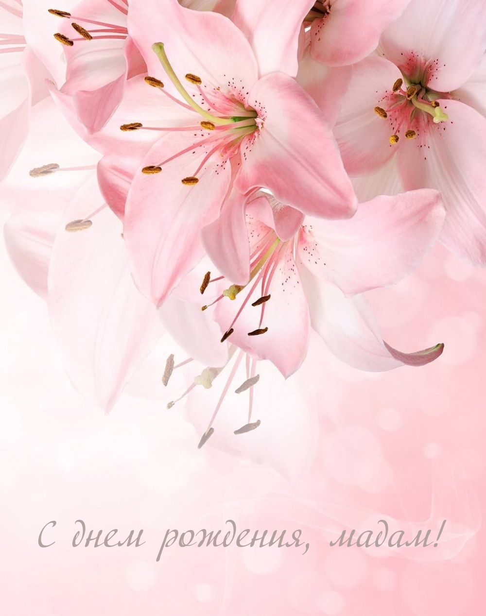 С днем рождения, мадам!