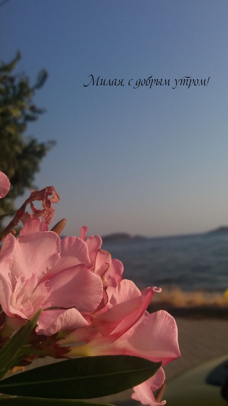 Милая, с добрым утром!