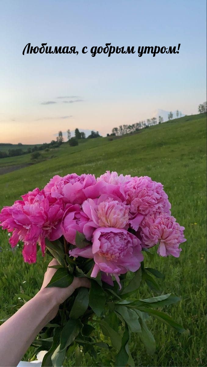 Любимая, с добрым утром!
