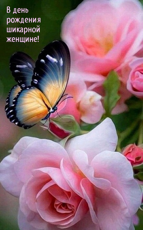 В день рождения шикарной женщине!