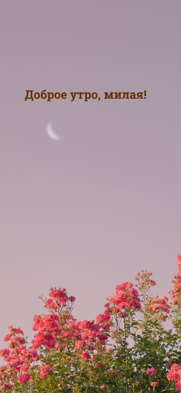 Доброе утро, милая!