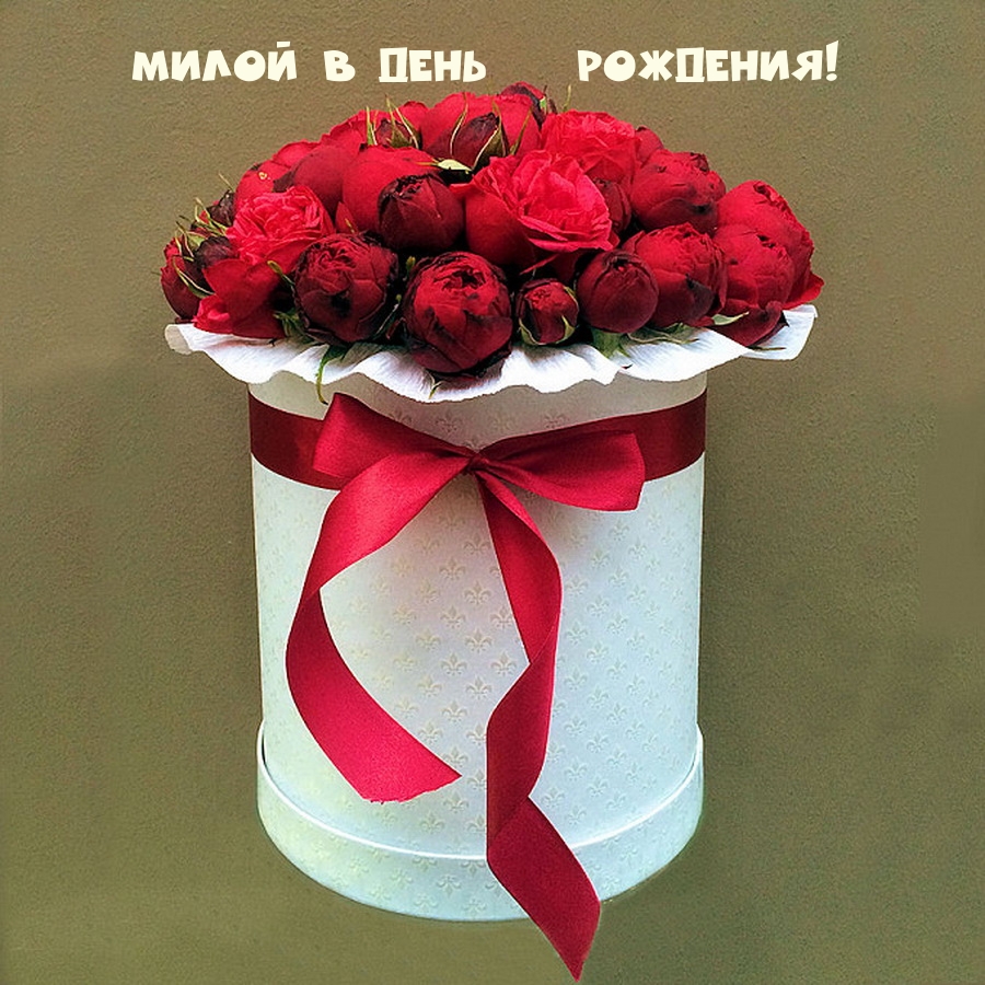 Милой в день рождения!