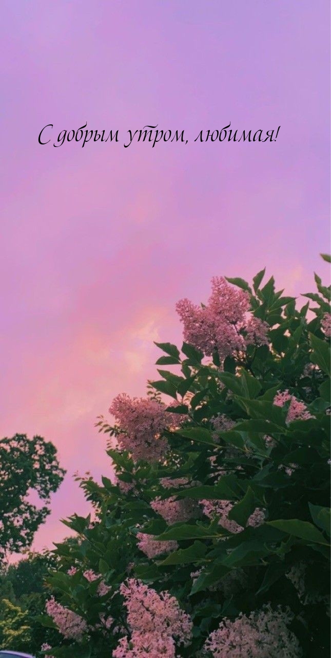 С добрым утром, любимая!
