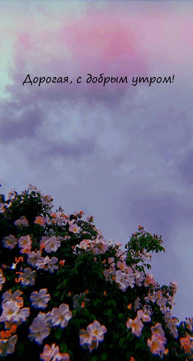 Дорогая, с добрым утром!