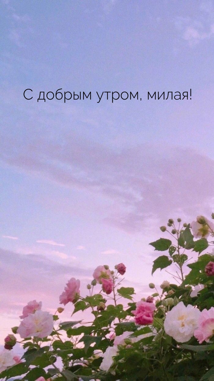 С добрым утром, милая!