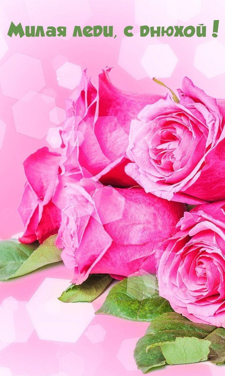 Милая леди, с днюхой!