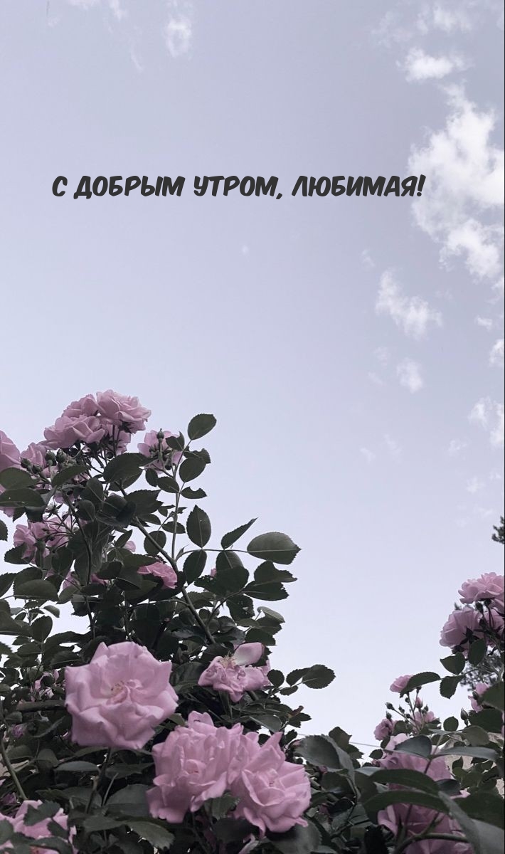 С добрым утром, любимая!