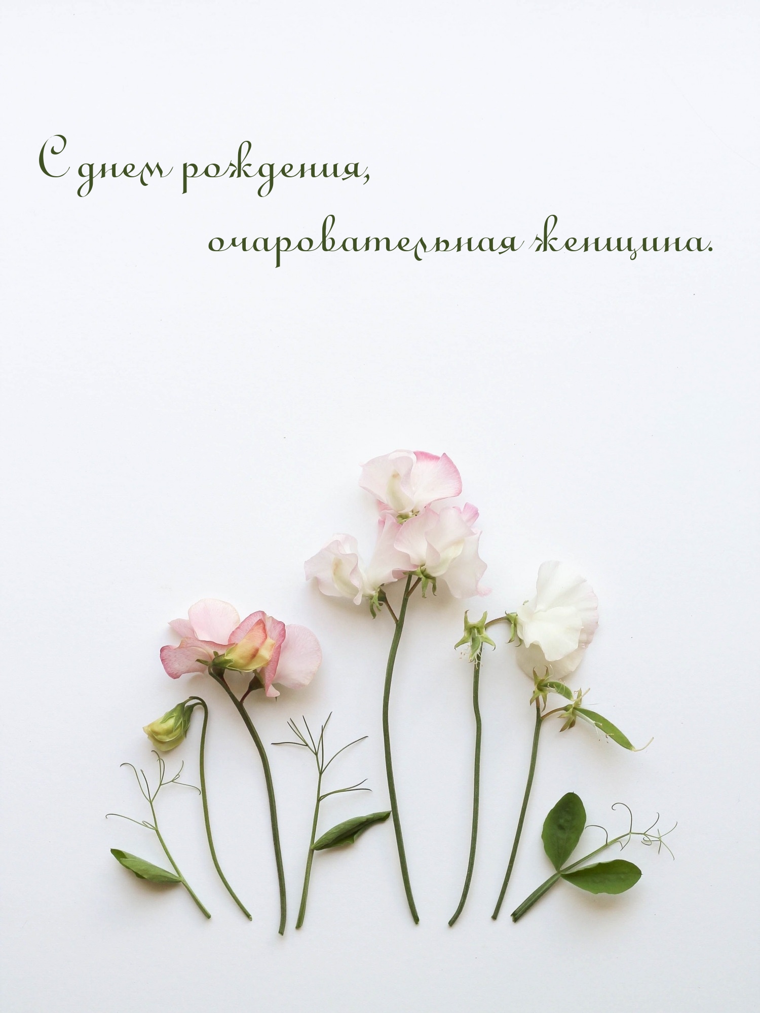 С днем рождения, очаровательная женщина.