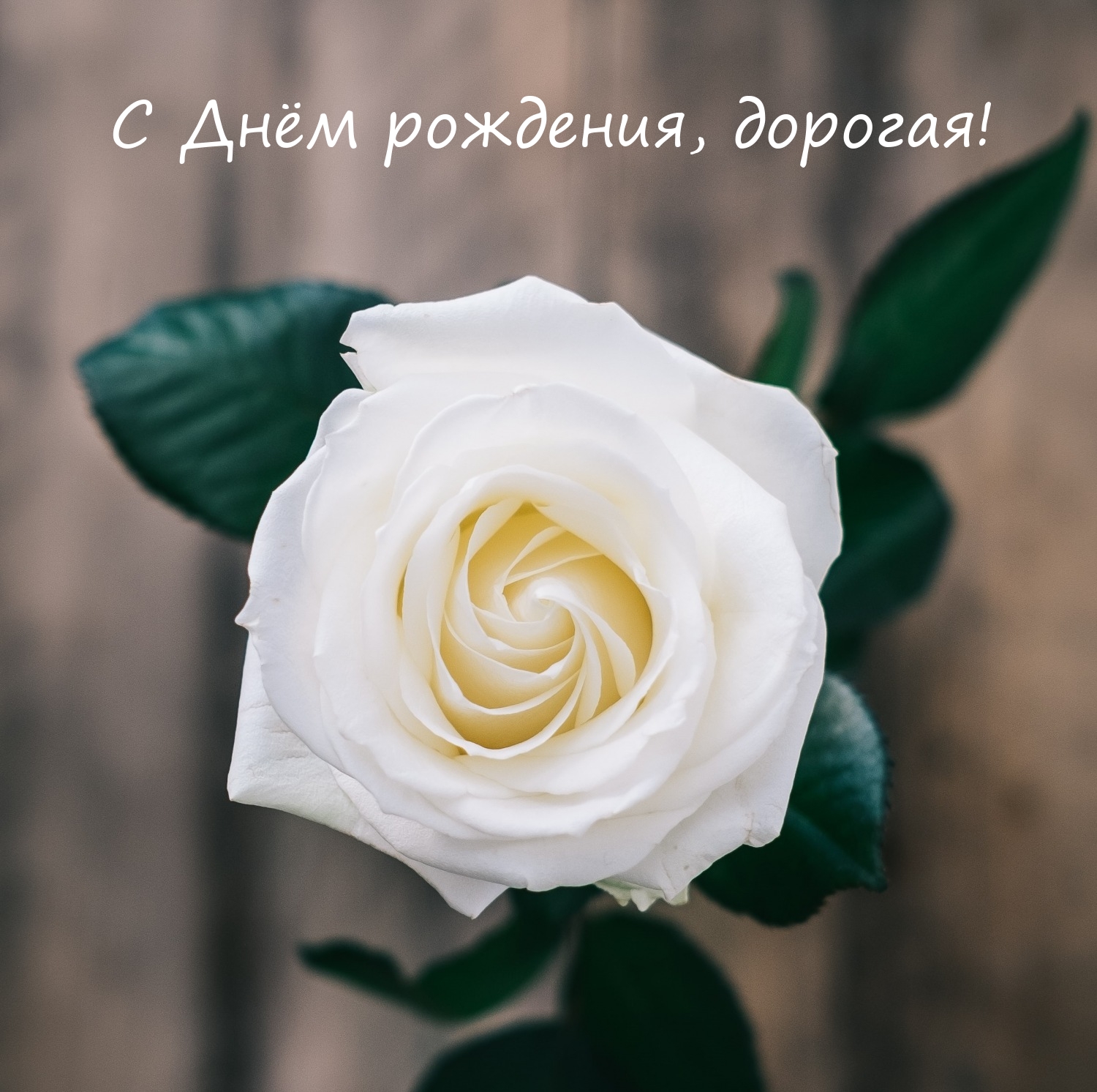 С Днём рождения, дорогая!