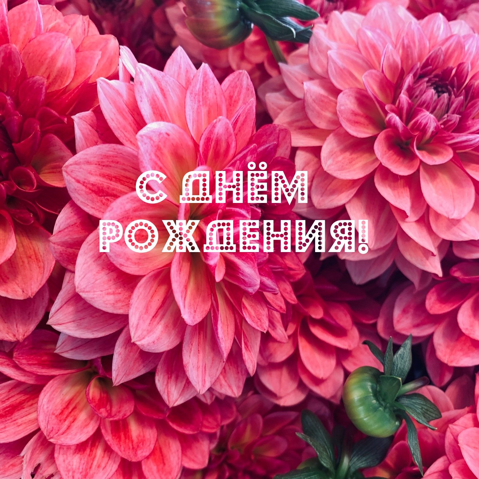 С днём рождения!