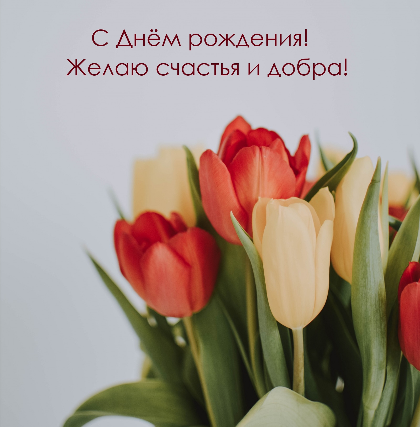 С Днём рождения! Желаю счастья и добра!