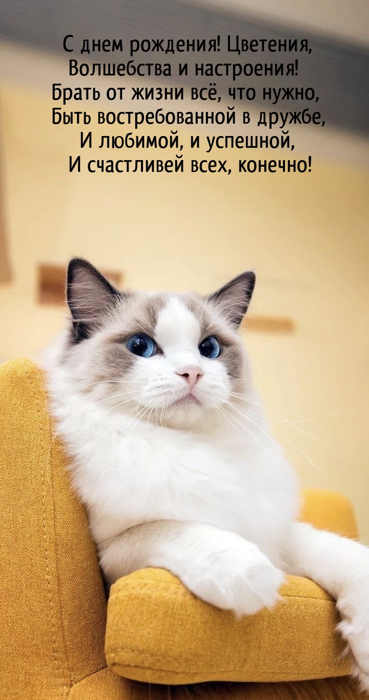 С днем рождения! Цветения, волшебства и настроения!