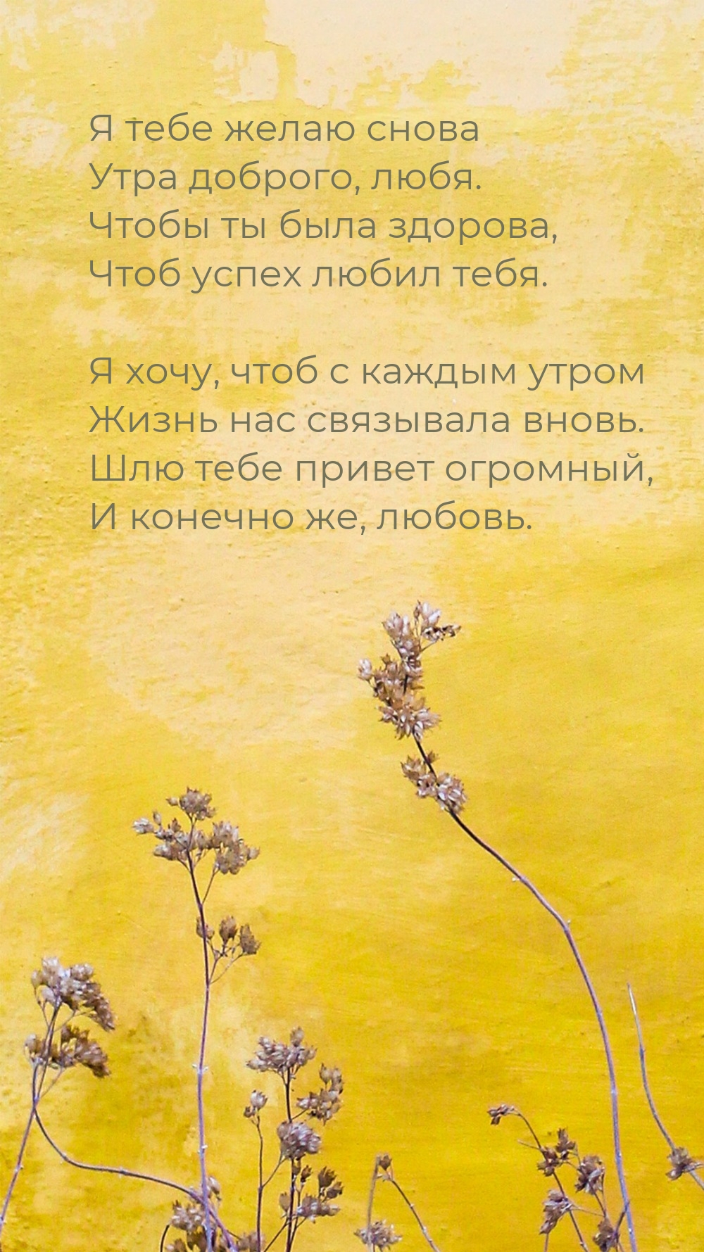 Я тебе желаю снова Утра доброго, любя.