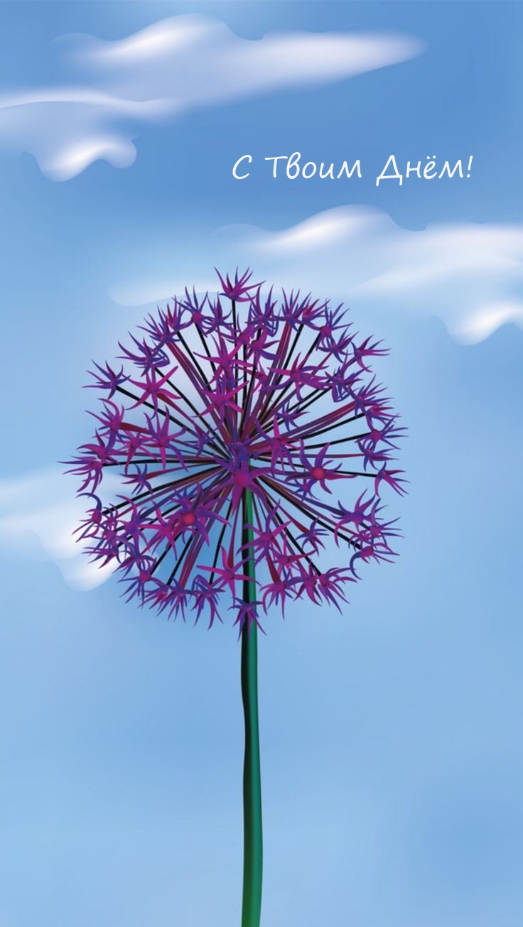 С Твоим Днём!